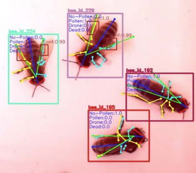 MLBees